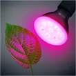 Kép 2/3 - LED grow 7W E27 izzó LED PLANTY B 1200K black 004013