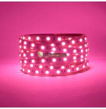 AURORA 60 SMD3528 DC24V 4,8 W/m beltéri LED szalag, pink, rózsaszín 3évG