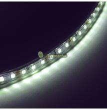 AURORA+ 120 SMD3528 9,6 W/m kültéri LED szalag, hidegfehér 2évG
