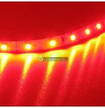 AURORA 60 SMD3528 4,8W/m beltéri LED szalag, piros 2évG