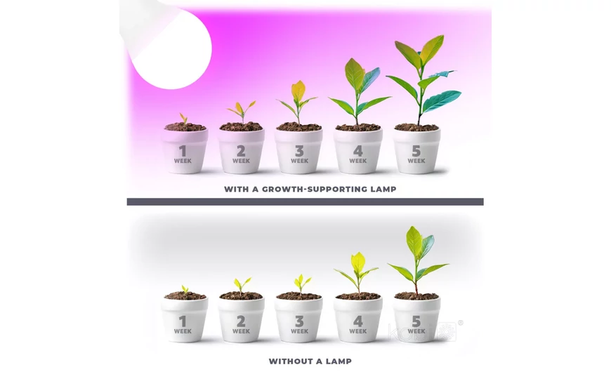 Növénynevelő LED termékek